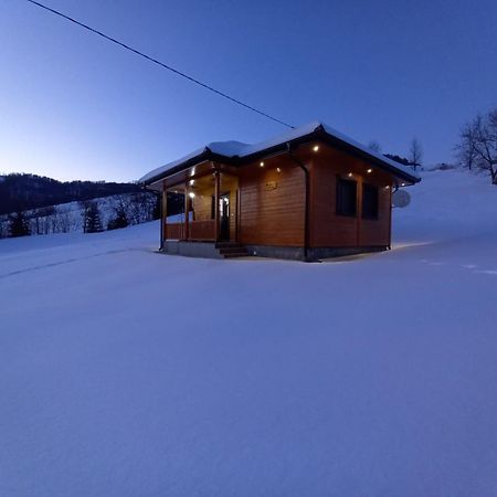 Bed and Breakfast Turizam Koturovic à Ivanjica Extérieur photo