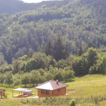 Bed and Breakfast Turizam Koturovic à Ivanjica Extérieur photo