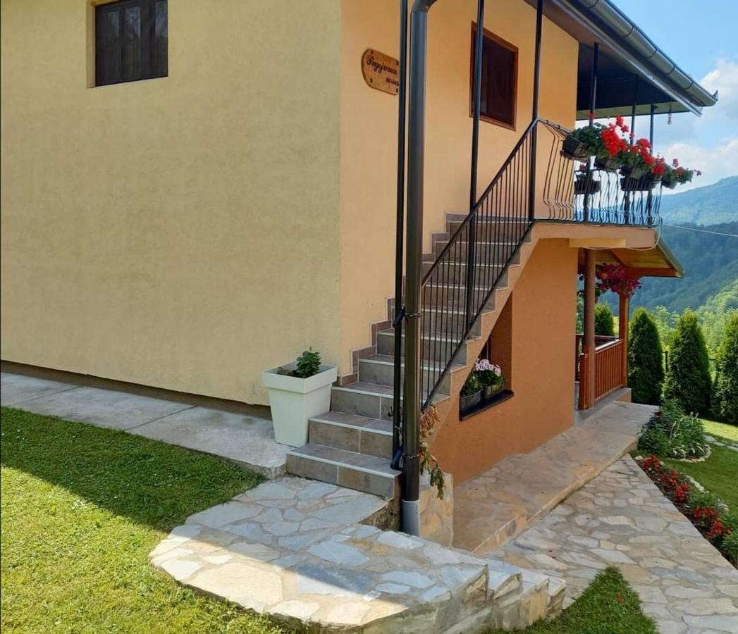 Bed and Breakfast Turizam Koturovic à Ivanjica Extérieur photo