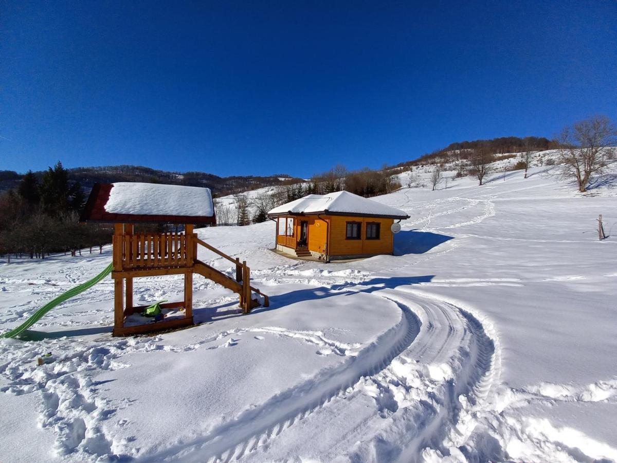 Bed and Breakfast Turizam Koturovic à Ivanjica Extérieur photo