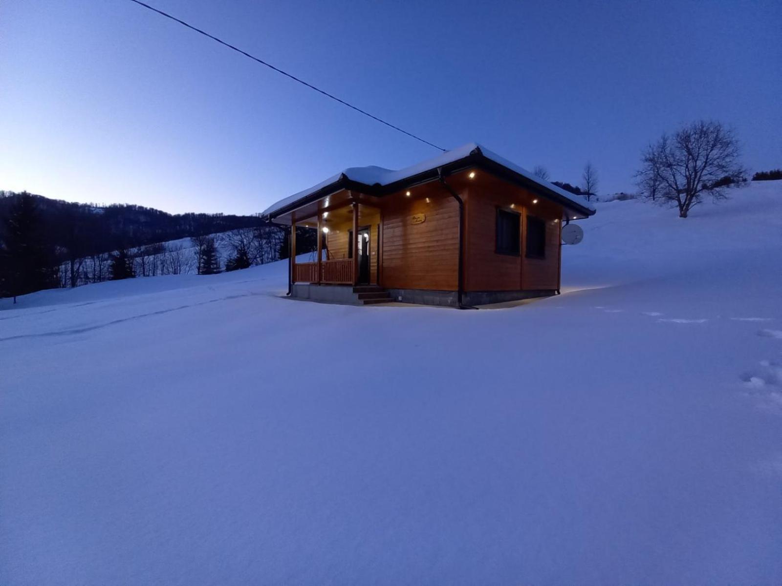 Bed and Breakfast Turizam Koturovic à Ivanjica Extérieur photo