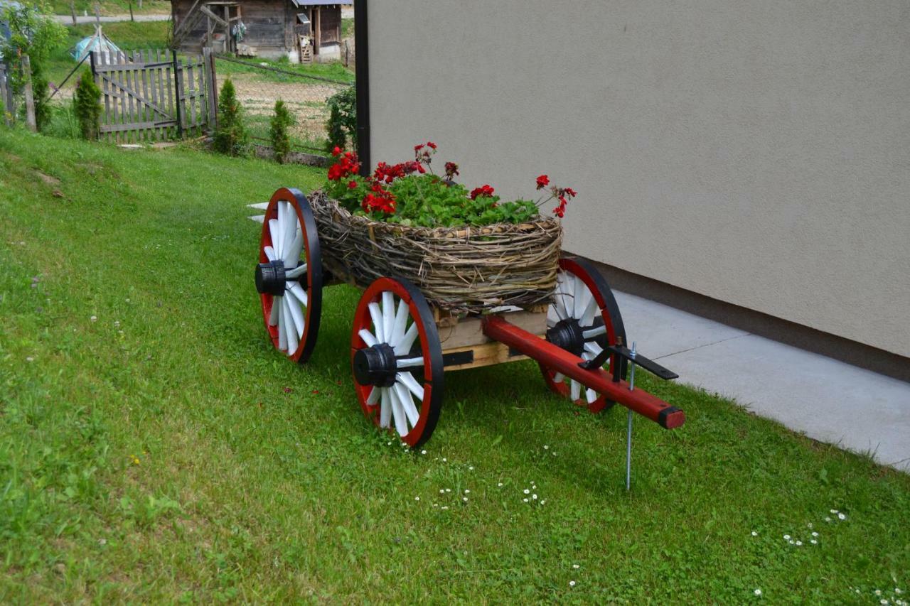 Bed and Breakfast Turizam Koturovic à Ivanjica Extérieur photo