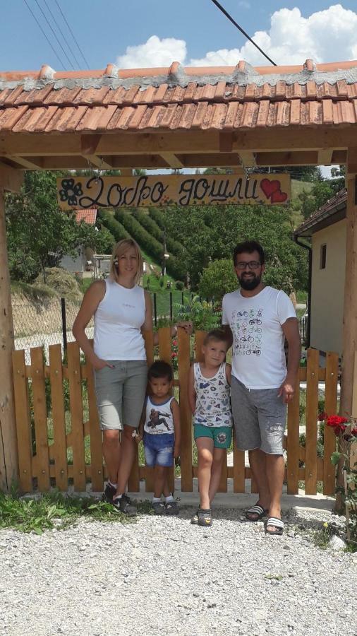 Bed and Breakfast Turizam Koturovic à Ivanjica Extérieur photo