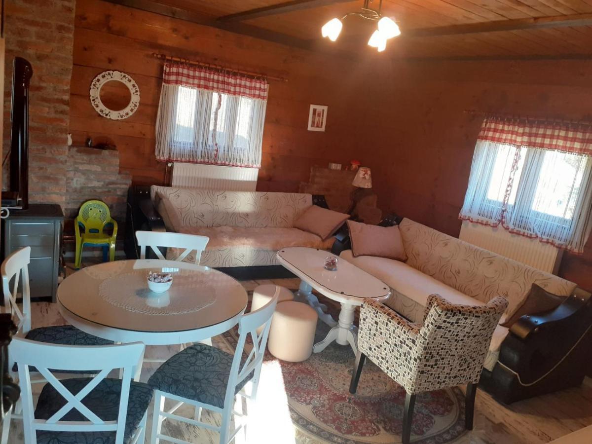 Bed and Breakfast Turizam Koturovic à Ivanjica Extérieur photo