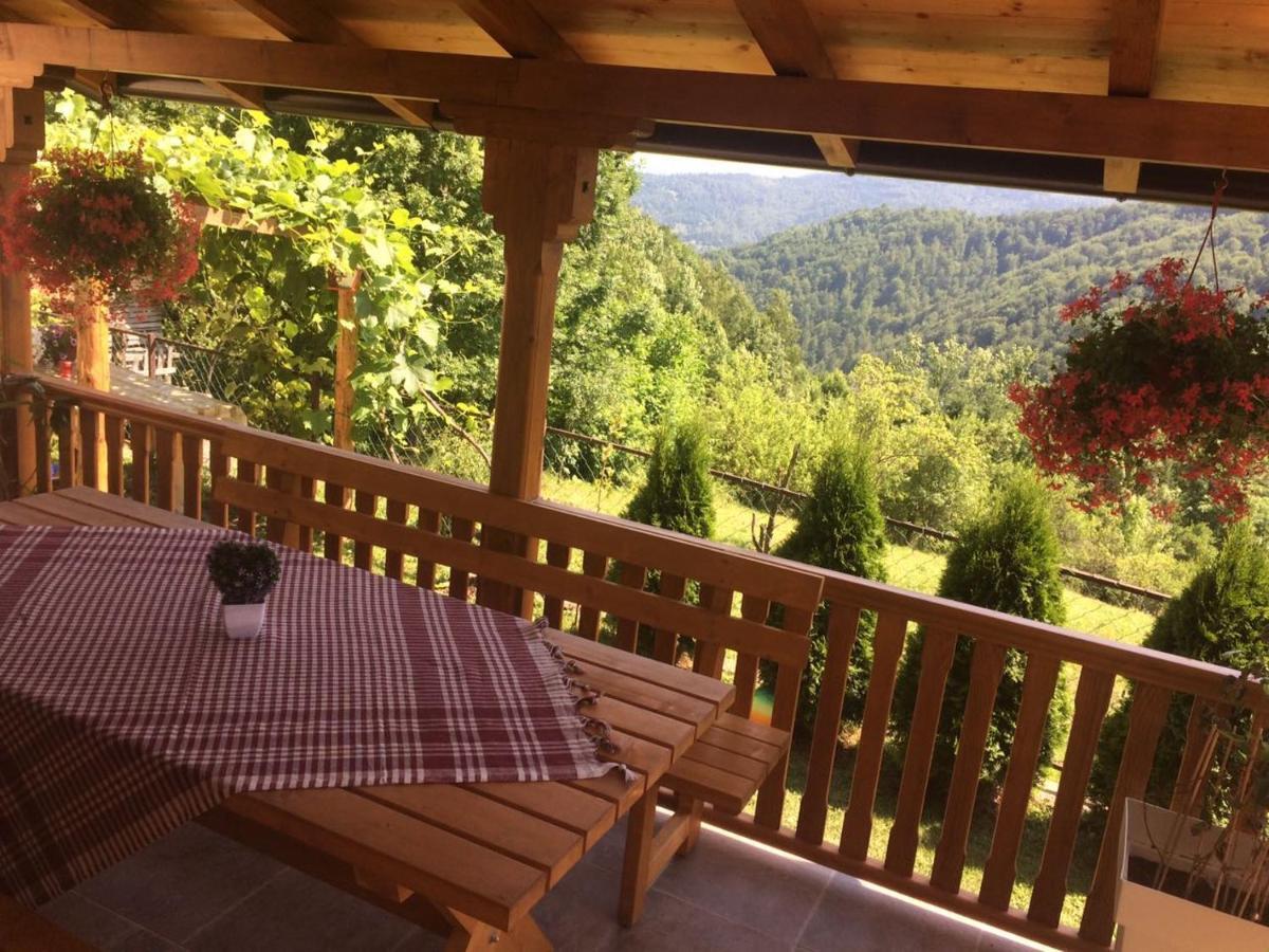 Bed and Breakfast Turizam Koturovic à Ivanjica Extérieur photo